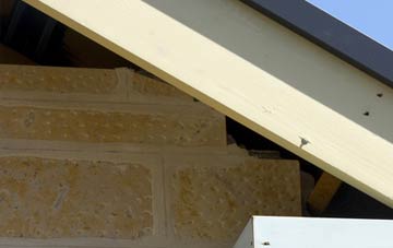 soffit repair Thrigby